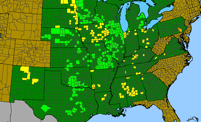 The range of Spiranthes magnicamporum